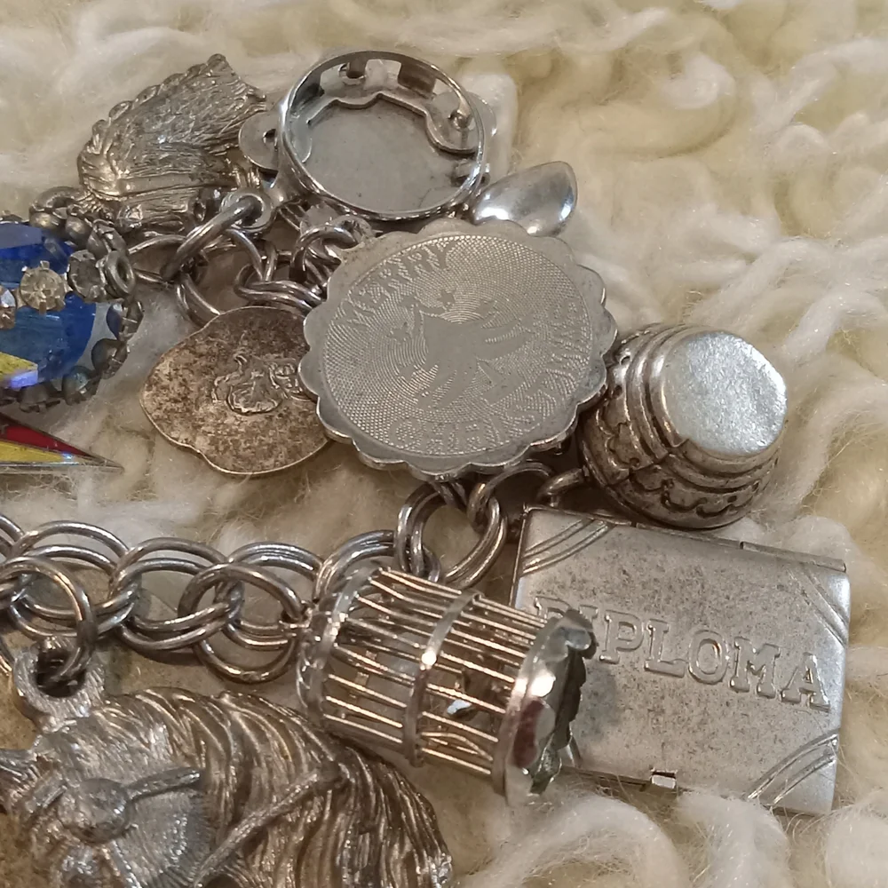 Silver Charm Bracelet - Picture 9 of 12